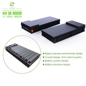 CTS Waterproof and Thermal Management EV Battery Pack 345V 560V 614V 800V 60kW