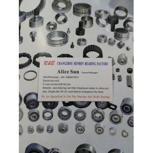 PB series sprag type one way backstop cam clutch apply in package machine