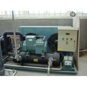 Peanut Butter Processiong Equipment With Colloid Grinder, Roaster 32.2KW