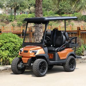 Quality Strong and Elegant 2 Front Seats &amp; 2 Rear Electric Golf Carts Carried 5KW Motor &amp; 48V Lithium Battery for sale