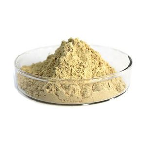 Pharmaceutical 80% Panax Root Natural Ginseng Extract Powder