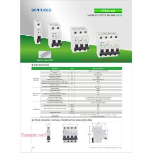 63A 2P Din Rail 6ka MCB Circuit Breaker With Busbar