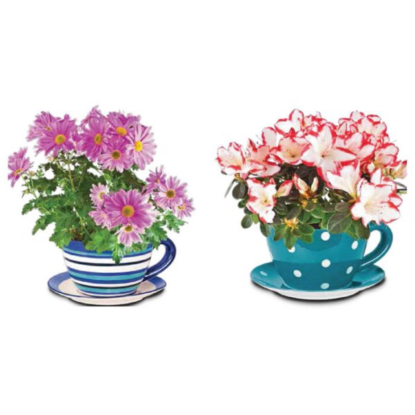 Buy Garden Ceramic Jumbo Tea Cup Planters With Attached Saucer Stripe / Polka Dots at wholesale prices