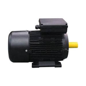 0.37KW IP54 3hp AC Asynchronous Motor Centrifugal Switch