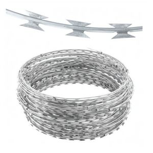 Sell Well New Type Barbed Wire BTO 22 Hot Dipped Galvanized Concertina Barbed