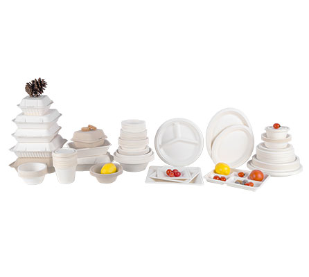 9" x 9" Hamburger food packaging disposable hinged container