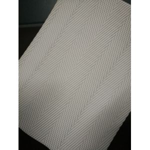 Textile Wastewater Polyester Mesh Belt Blue For Drying Paper / Filtering