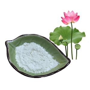 Lotus Extract Natural Raw Material 98% Nuciferine Heatstroke Treatment