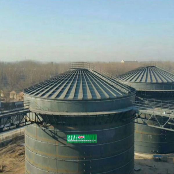 Buy EGSB Biogas Plant Project Domestic Anaerobic Biogas Digester System at wholesale prices