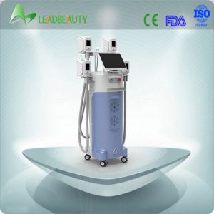 China beauty salon equipment double cryolipolysis machine 4 handles