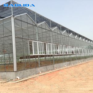 Multi Span Venlo Glass Greenhouse 140mm/H Capacity ISO9001 Certificated