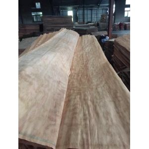 sell Dillenia face veneer