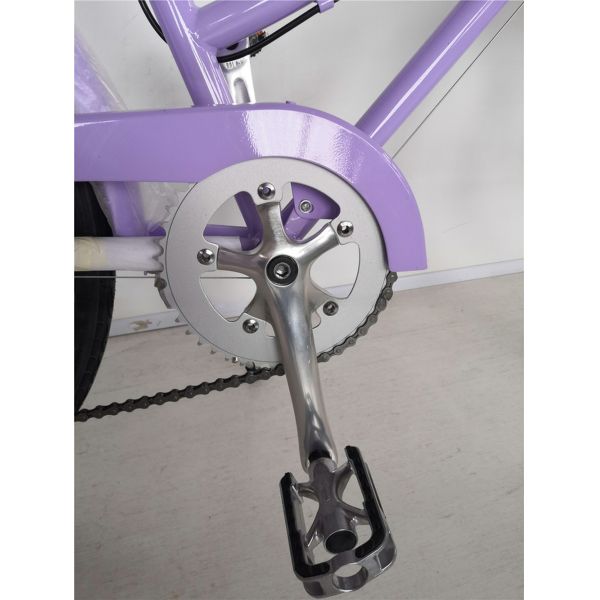 1.8m Length Steel Frame 700C Women Single Speed City Bike for American Market OEM/ODM