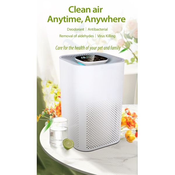 2022 New Purificador De Aire Hepa Desktop Ionized Air Purifier Negative Ion True Hepa Filter Portable Air Purifier Manufacturer