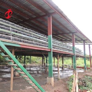 Battery Poultry Farming Cage System Decrease Temperature For Layers Star