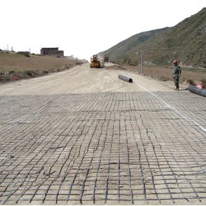 Geogrid for Road Airport Railway Slope and River Bank Surface Resistance