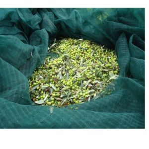 Olive falling fruit netting