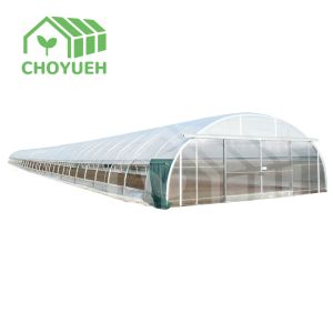 Hot Dip Glavanized Steel Polytunnel Greenhouse 10X30m Single Span