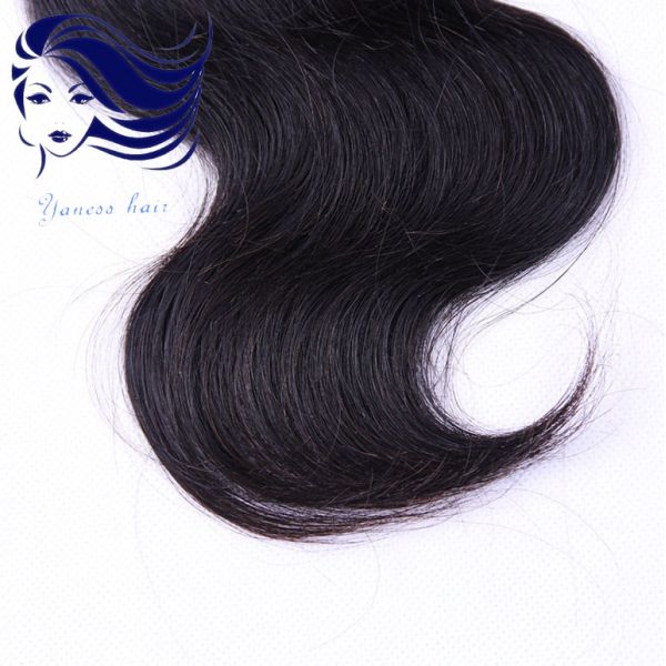 Virgin Remy Human Hair Extensions , Virgin Brazilian Hair Bundles