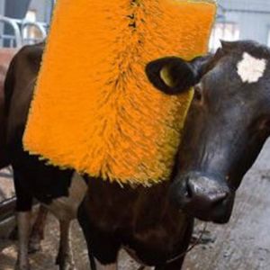 Poultry Breeding Equipment Cow Massage Brush Rotating Cow Shaving Brush