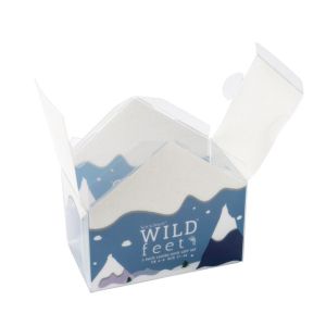 Foil Stamping PMS Transparent Plastic Boxes Foldable Plastic Candy Packaging