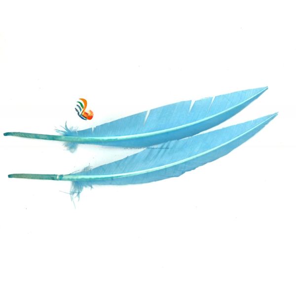 25-30cm Stripped Colored Turkey Feathers Quill Dyed For Decorative