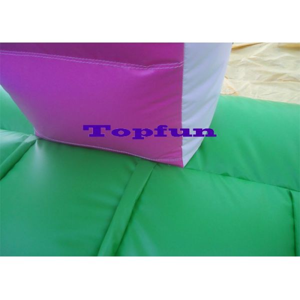 Disney Combo Inflatable Water Slide