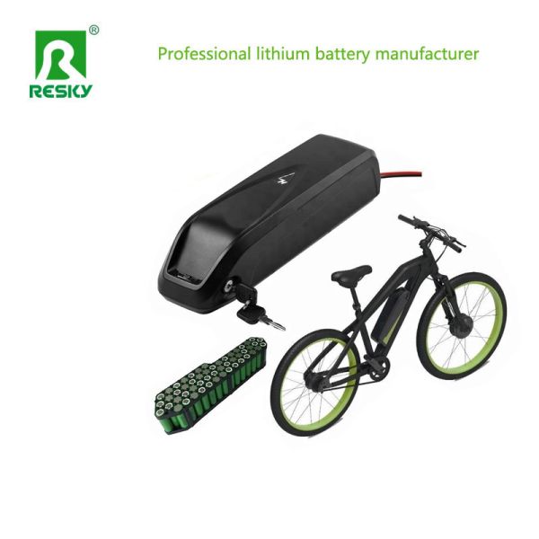 Hailong Li-ion Lithium Ion Ebike Battery 36V13ah