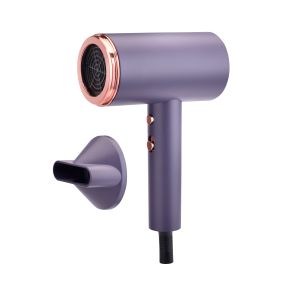 Low Noise Blow Dryer , Ionic Folded Traveling Hair Dryer