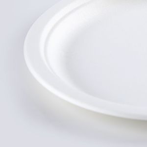 Biodegradable Food friendly fully Bagasse 10 inch Round Plates