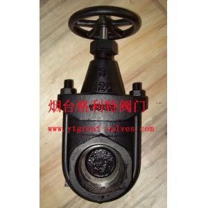 cast iron clip gate valve