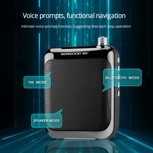 2018 NEWGOOD Bluetooth 2.4Ghz Wireless Headset Microphone Voice Amplifier