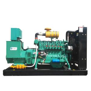 Quality Green power LPG genenerator with ATS for sale