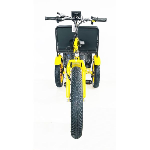 US Fat Tire Electric Passenger Tricycle with 1000W Bafang Motor and Aluminum Pedal