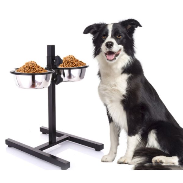 Elevated Dog Bowls Raised Pet Feeder Cat Food & Water Diner Stand Set