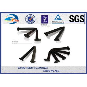 Q235 / 35# Sleeper Lag Screw Track Spikes Railway Fastening System