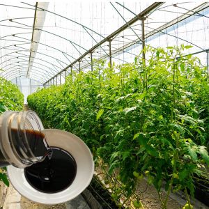 Natural Calcium Magnesium Chelated Amino Acid Liquid Fertilizer