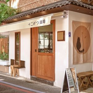 DERCHI Fold up Black Aluminium Bifold Windows Double Glazed Glass Balcony