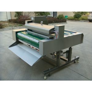 Stainless Steel Vacuum Packing Machine Food Packaging Sealer Adjustable