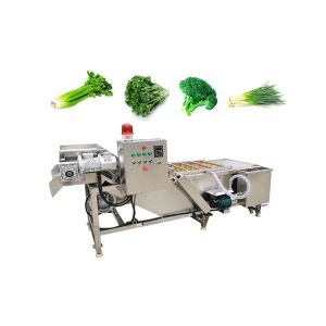 Fruits 380V Vegetable Washing Machine With Conveyor