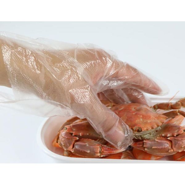 Eco Friendly Disposable Transparent Plastic PE Gloves Anti Fouling