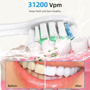31200VPM IPX7 Adult Electric Toothbrush Oral Care Type-C Rechargeable