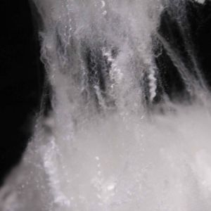 Eco-Friendly Hollow Polyester Fiber 1.33D siliconized Lightweight White