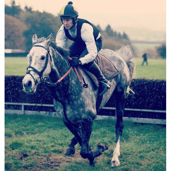 Jodhpur Breeches Function Equestrian Vest Innocuous BS EN Certified with Foam Padding