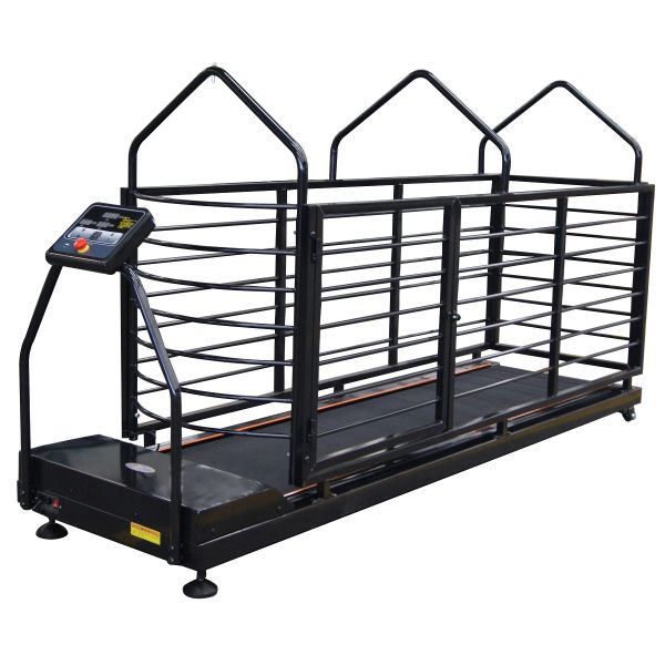 200kgs Capacity Dog Runner Treadmill Pet Medical Equipment