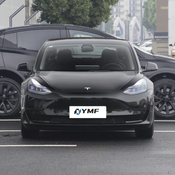 Tesla Model 3 Electric Cars with Max. Power 220kW Overall Mass 1980kg