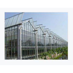 Transparent Glass Enclosed Plant Greenhouse Wind Resistance and Sustainability
