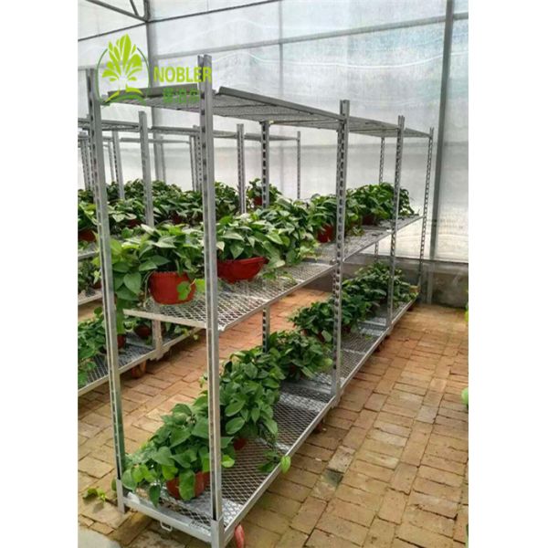 Buy Nobler Danish Container Equipment Galvanized CC Flower And Plant Trolleys at wholesale prices