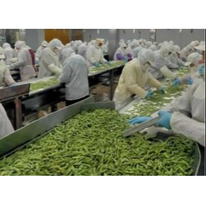 Nutritious Frozen Edamame Beans With No Rusty Spot