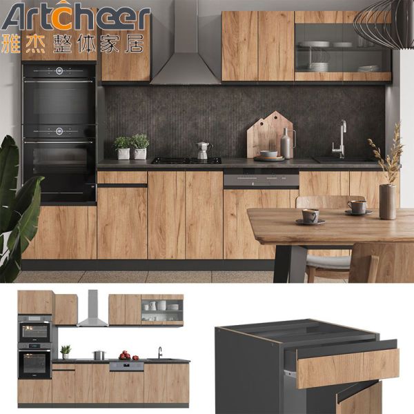 Mini Kitchen Wooden Cabinet in Veneer Lacquer Finish with RTA Size and Modern Design